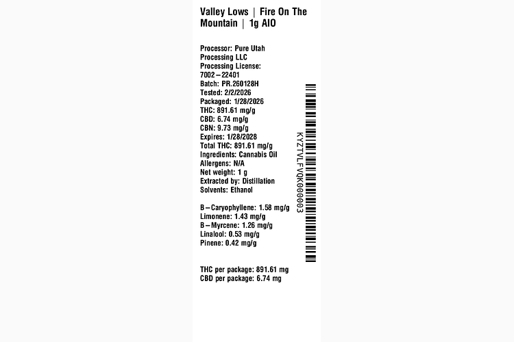 Fire On The Mountain by Valley Lows