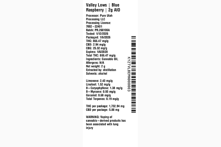 Blue Raspberry by Valley Lows