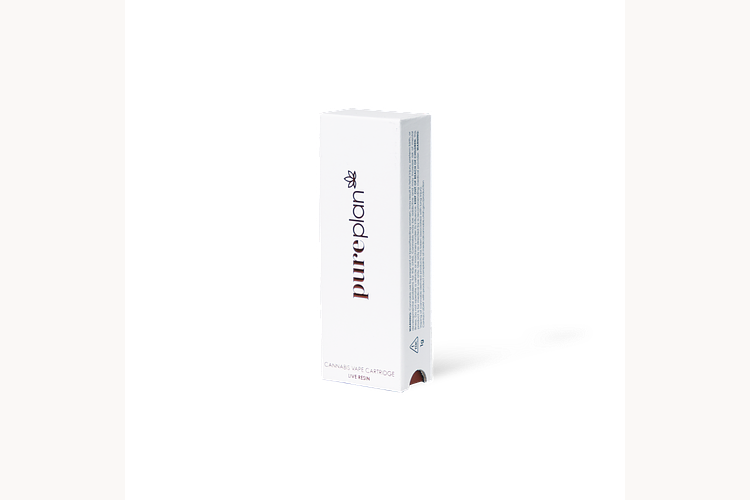 Wolf Eel by Pure Plan