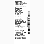 Doze - Northern Lights by WholesomeCo