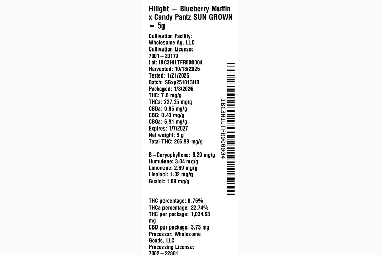 Blueberry Muffin X Candy Pantz by Hilight