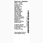 Shakedown Street by Valley Lows