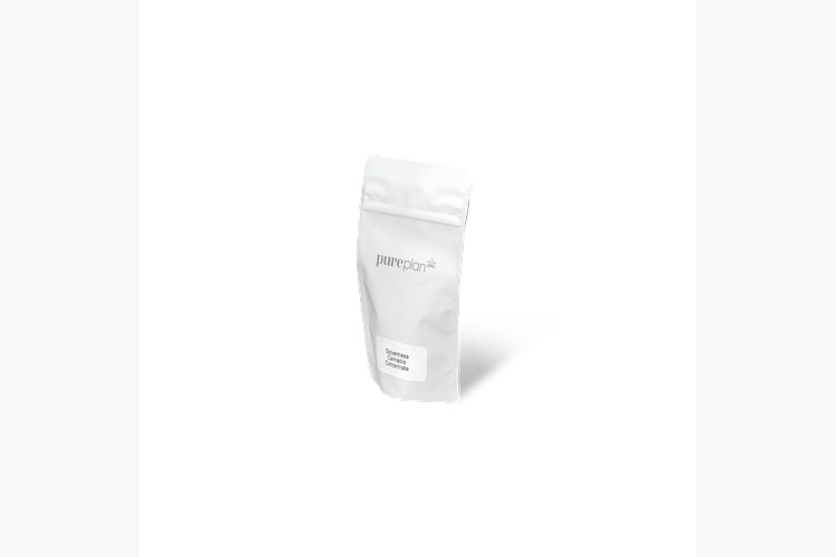 Original Glue by Pure Plan