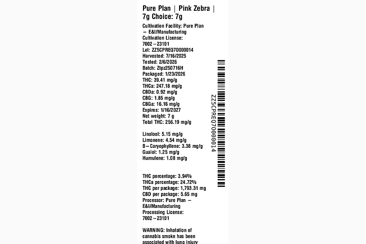 Pink Zebra by Pure Plan