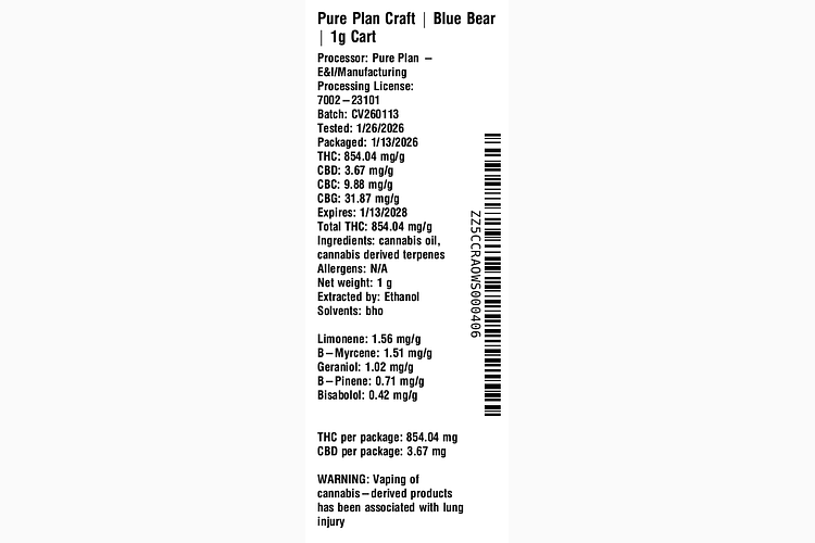 Blue Bear by Pure Plan