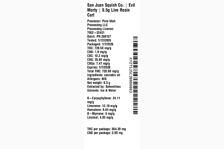 Evil Morty by San Juan Squish Co.