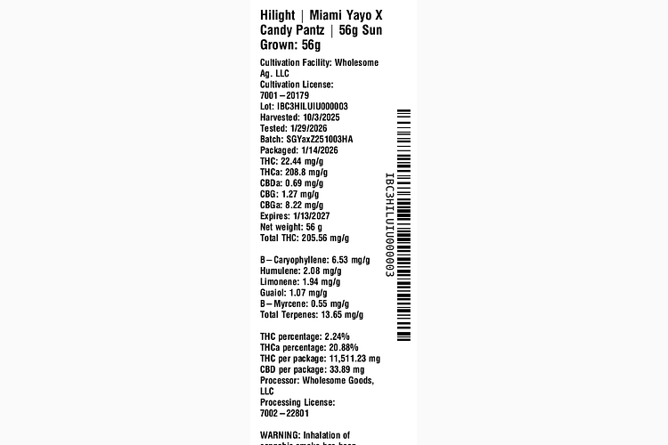 Miami Yayo X Candy Pantz by Hilight