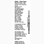 Chem Fuego by Hilight