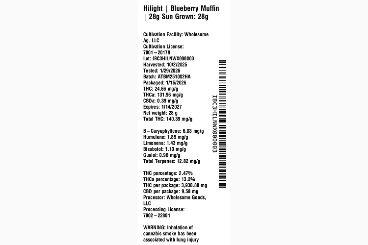 Blueberry Muffin by Hilight