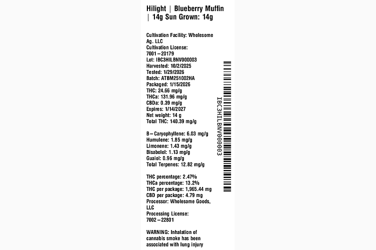 Blueberry Muffin by Hilight