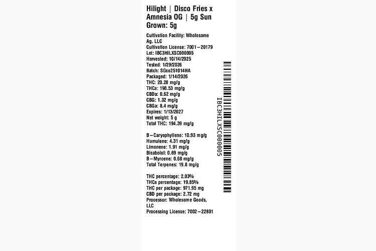 Disco Fries x Amnesia OG by Hilight