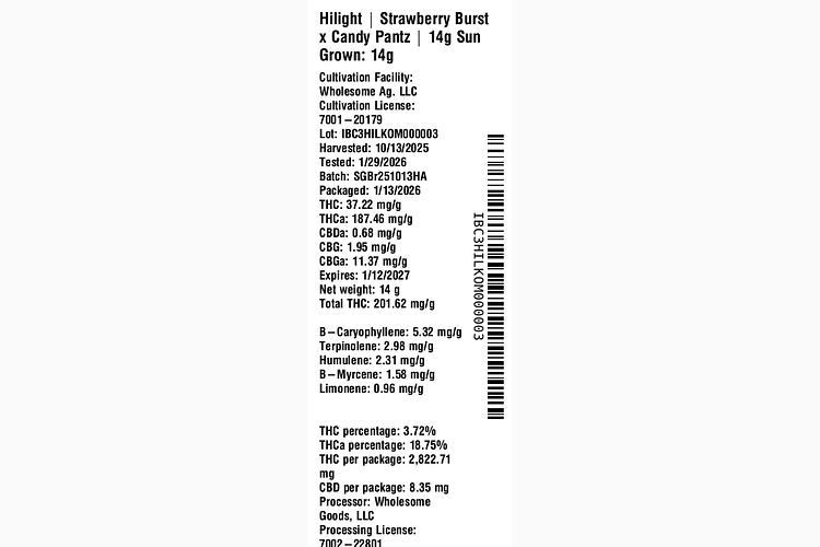 Strawberry Burst x Candy Pantz by Hilight