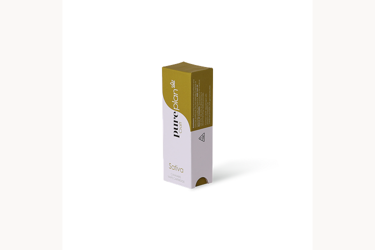 Super Silver Haze by Pure Plan