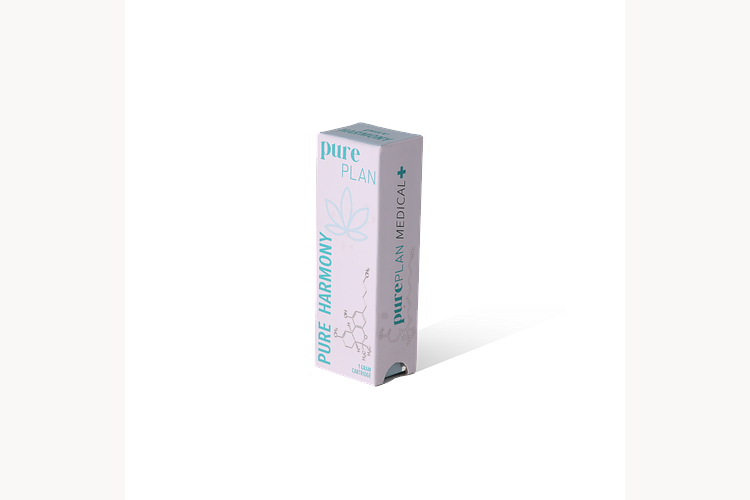 Harmony — 24K Gold Punch by Pure Plan