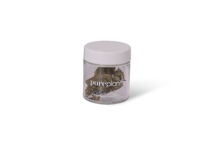 Panama Punch 3.5g by Pure Plan